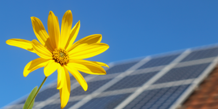 Solar Power Banner for Web