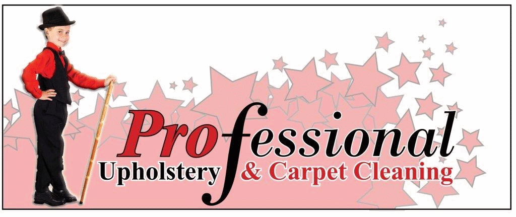 Professional Upholstery