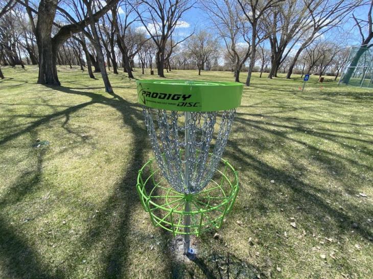 Disc Golf Basket